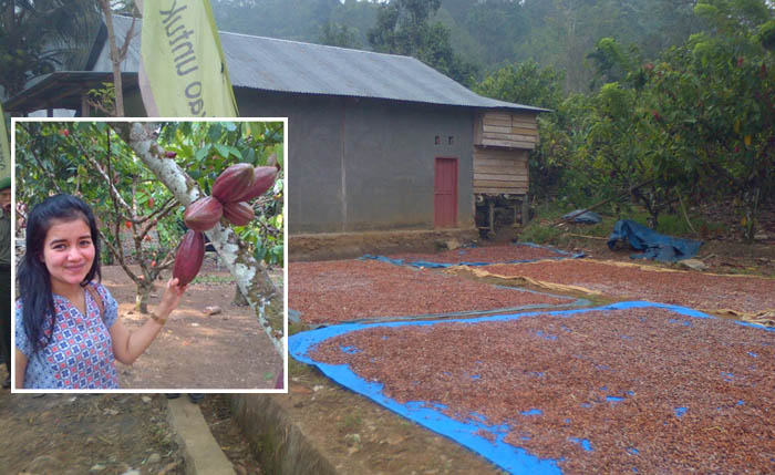 Pertanian, Primadona Ekspor di Tengah Lesunya Sektor Lain